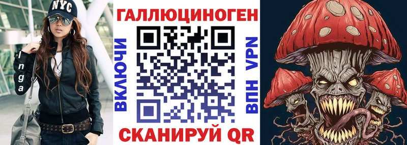 Псилоцибиновые грибы Psilocybe  Приволжск 